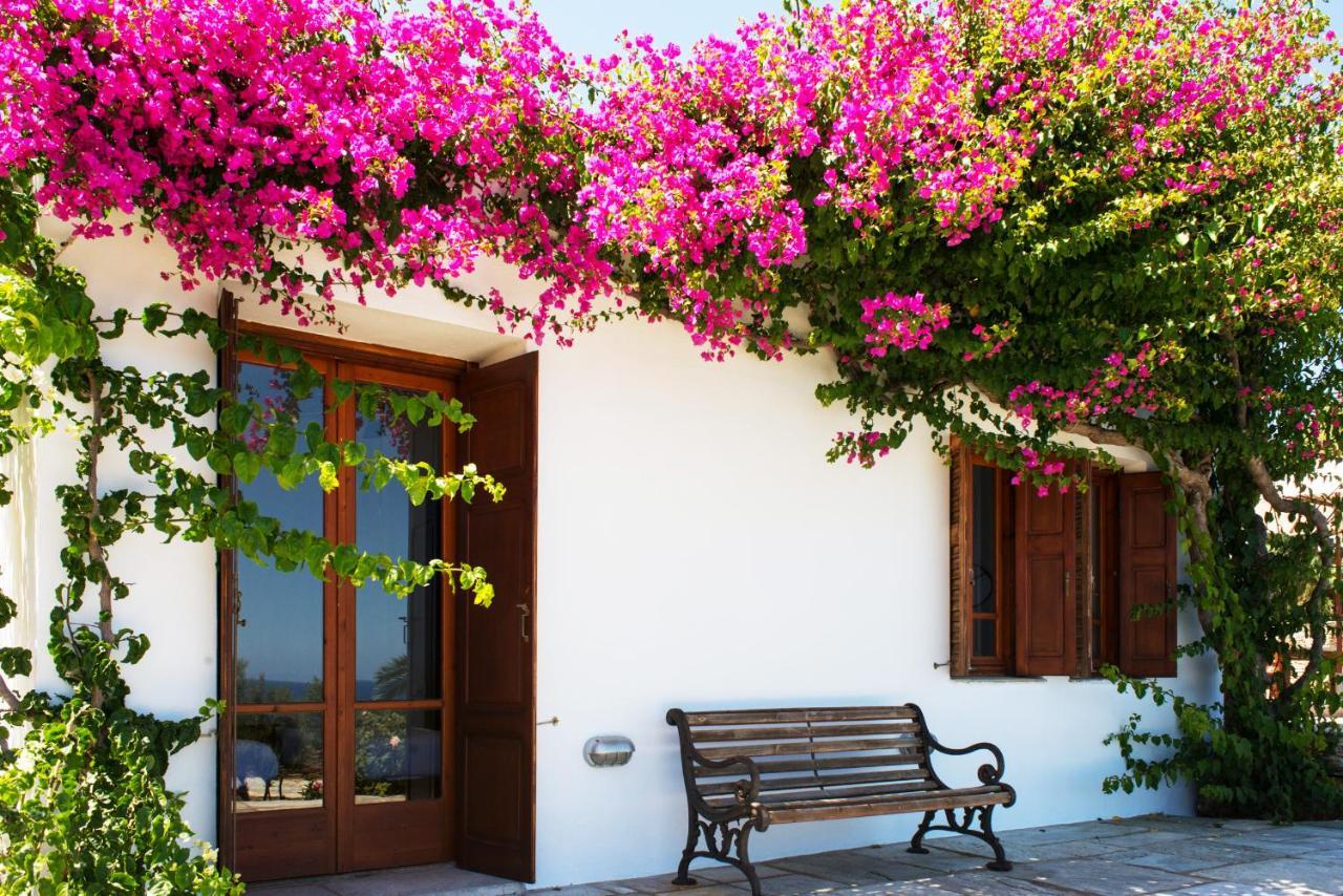 Villa Celestina, Great For Privacy And Seclusion Chrisopigi  Экстерьер фото